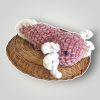 il_fullxfull.7667775954_7rj6.jpg Crochet Axolotl Plush | Handmade Axolotl Amigurumi | Soft Chenille Plush | Ready to Ship - Lina And Stitches