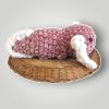 il_fullxfull.7715732681_4r34.jpg Crochet Axolotl Plush | Handmade Axolotl Amigurumi | Soft Chenille Plush | Ready to Ship - Lina And Stitches