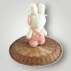 il_fullxfull.7758919680_rmk6.jpg Handmade Crochet Bunny | Kawaii Amigurumi Bunny Doll - Lina And Stitches