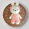il_fullxfull.7758919702_rfnu.jpg Handmade Crochet Bunny | Kawaii Amigurumi Bunny Doll - Lina And Stitches